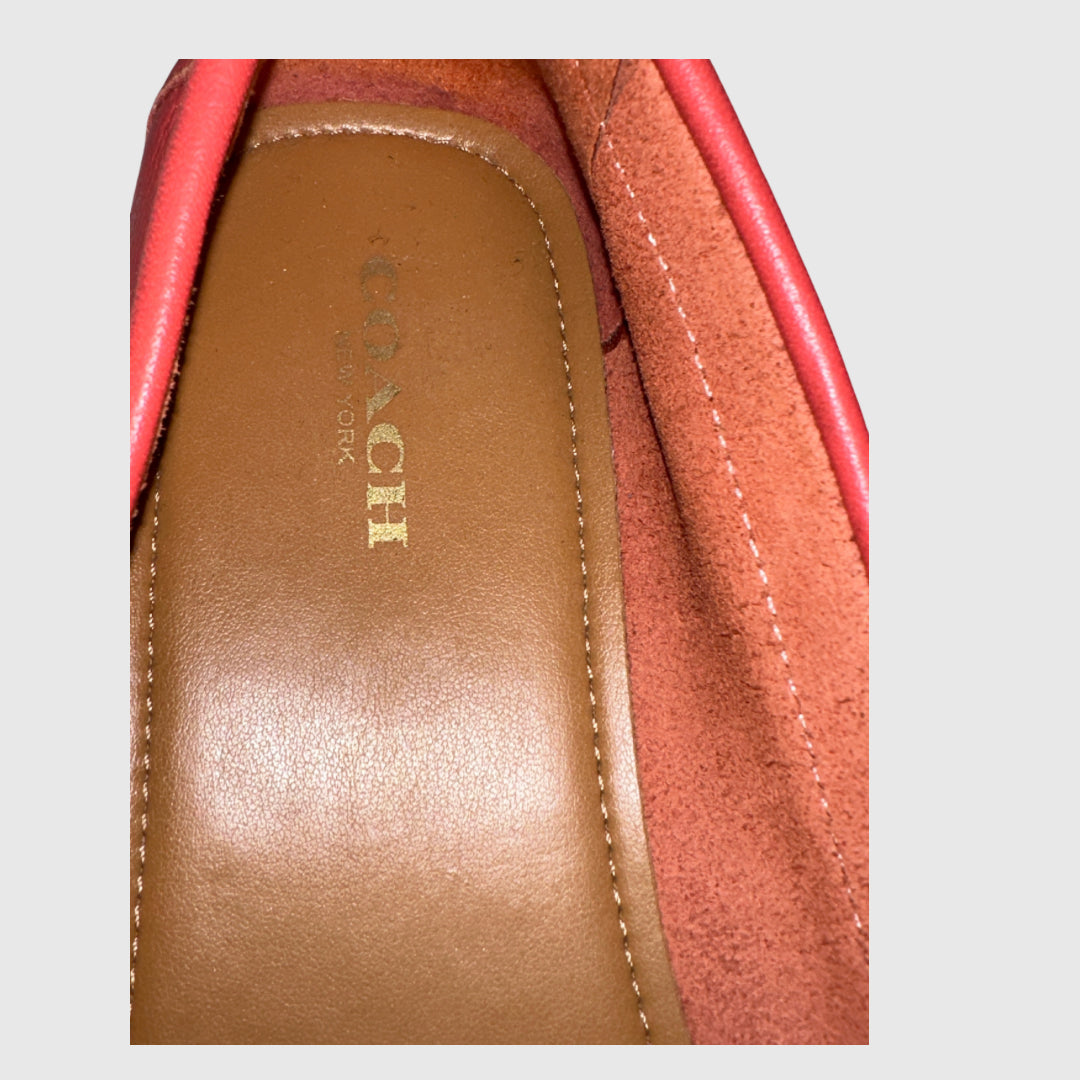 Zapato de Dama