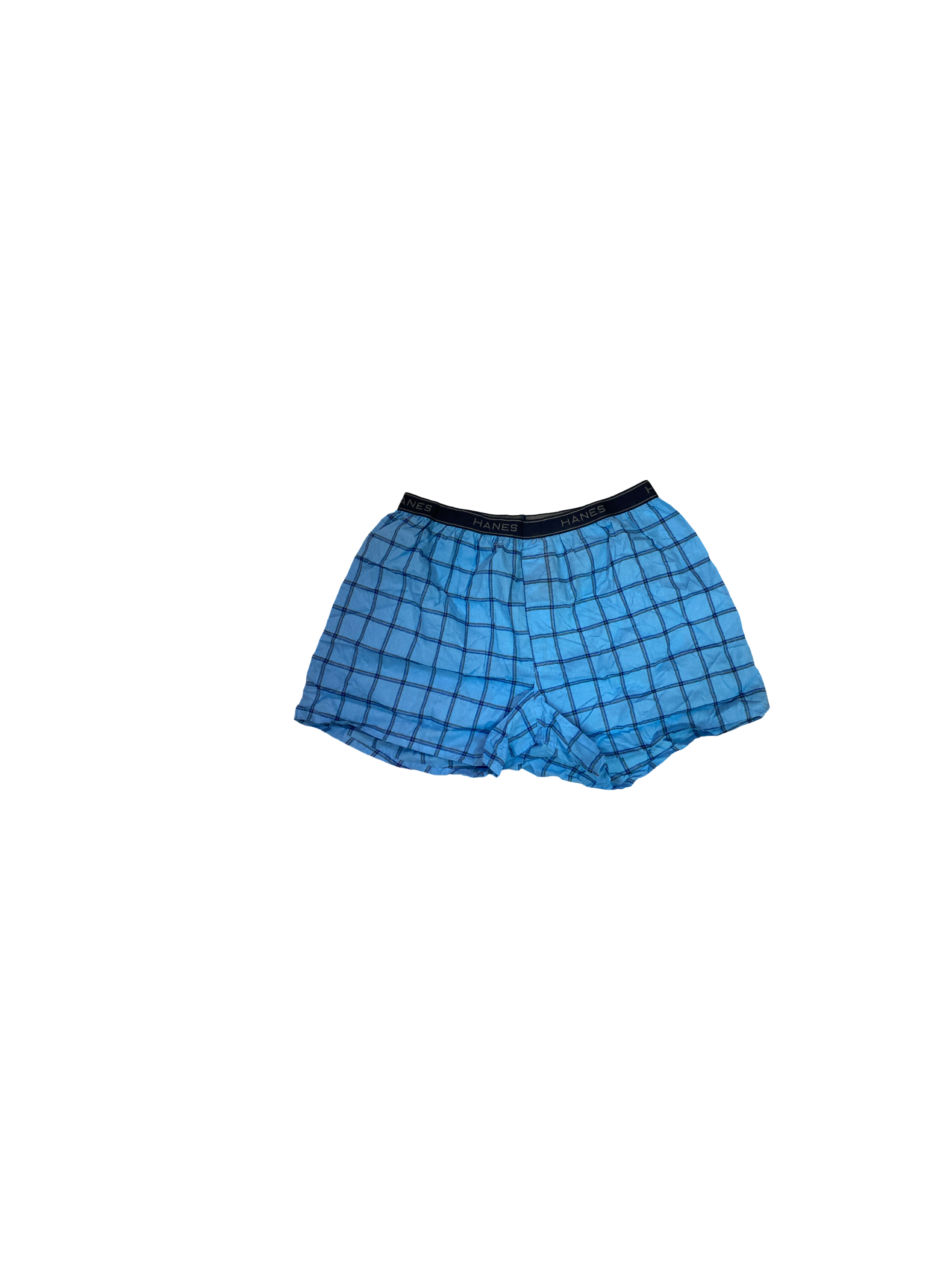 Boxer de Caballero