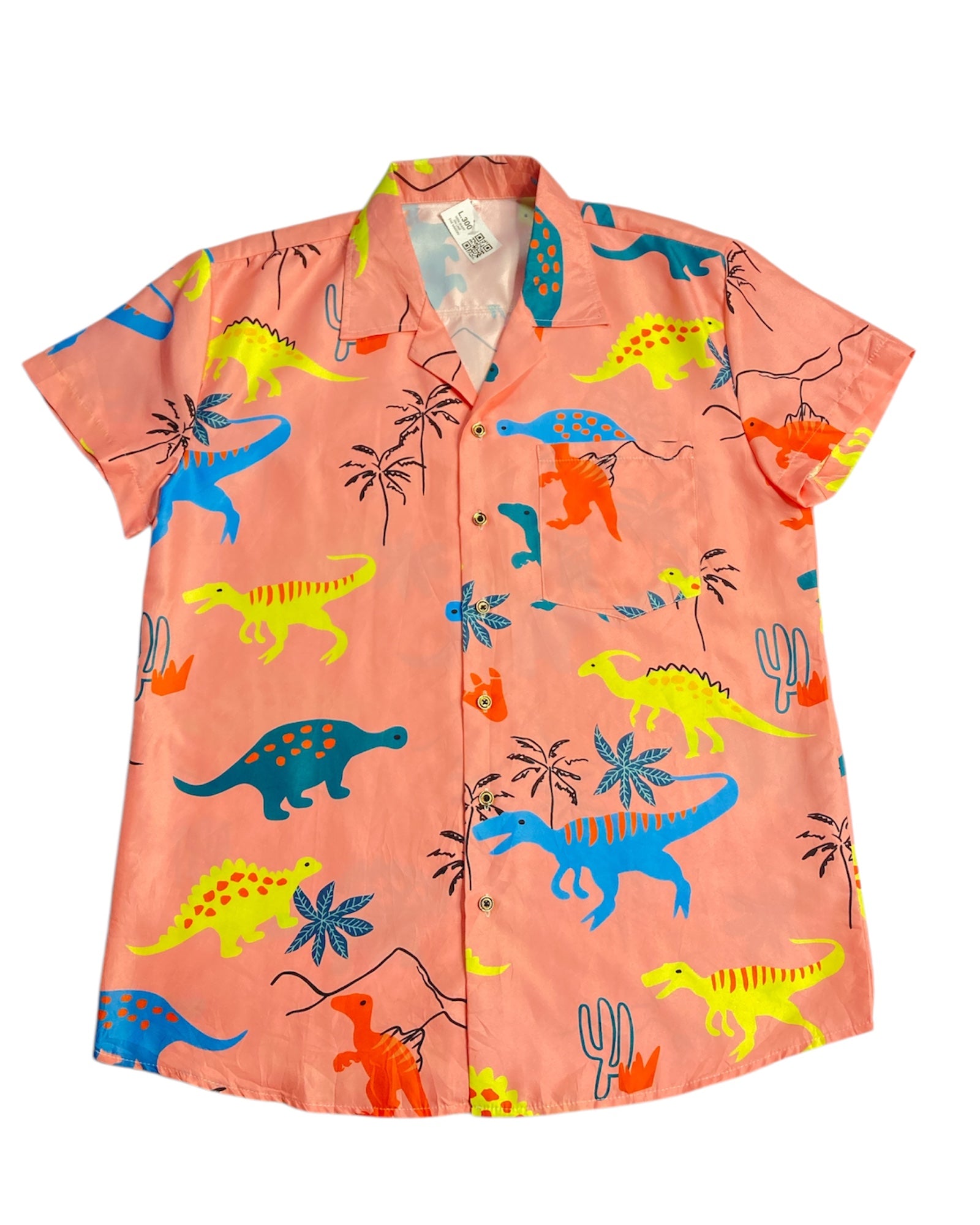 Camisa de Caballero