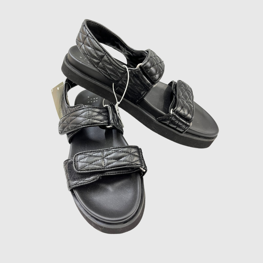 Zapato de Dama