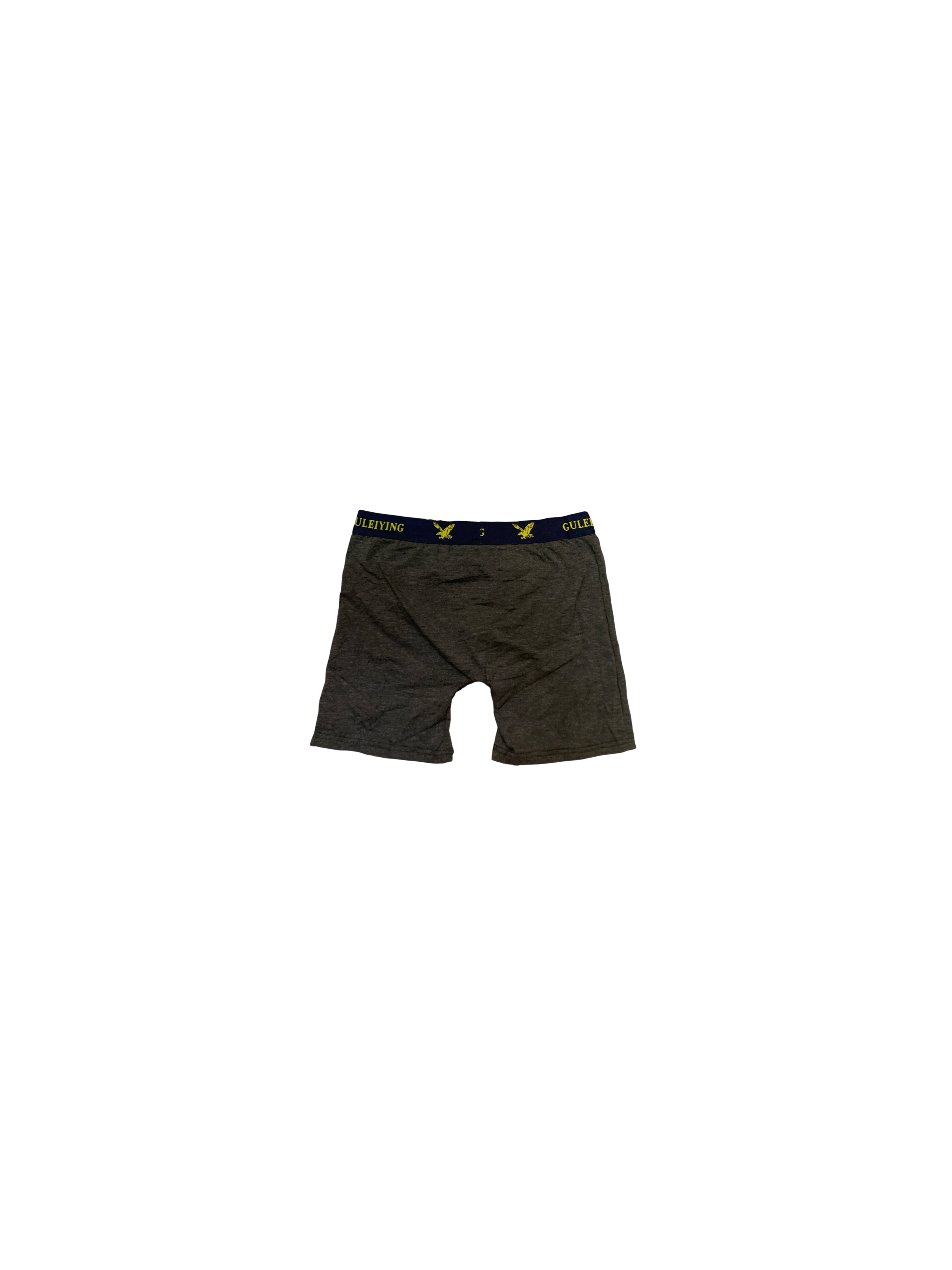 Boxer de Caballero