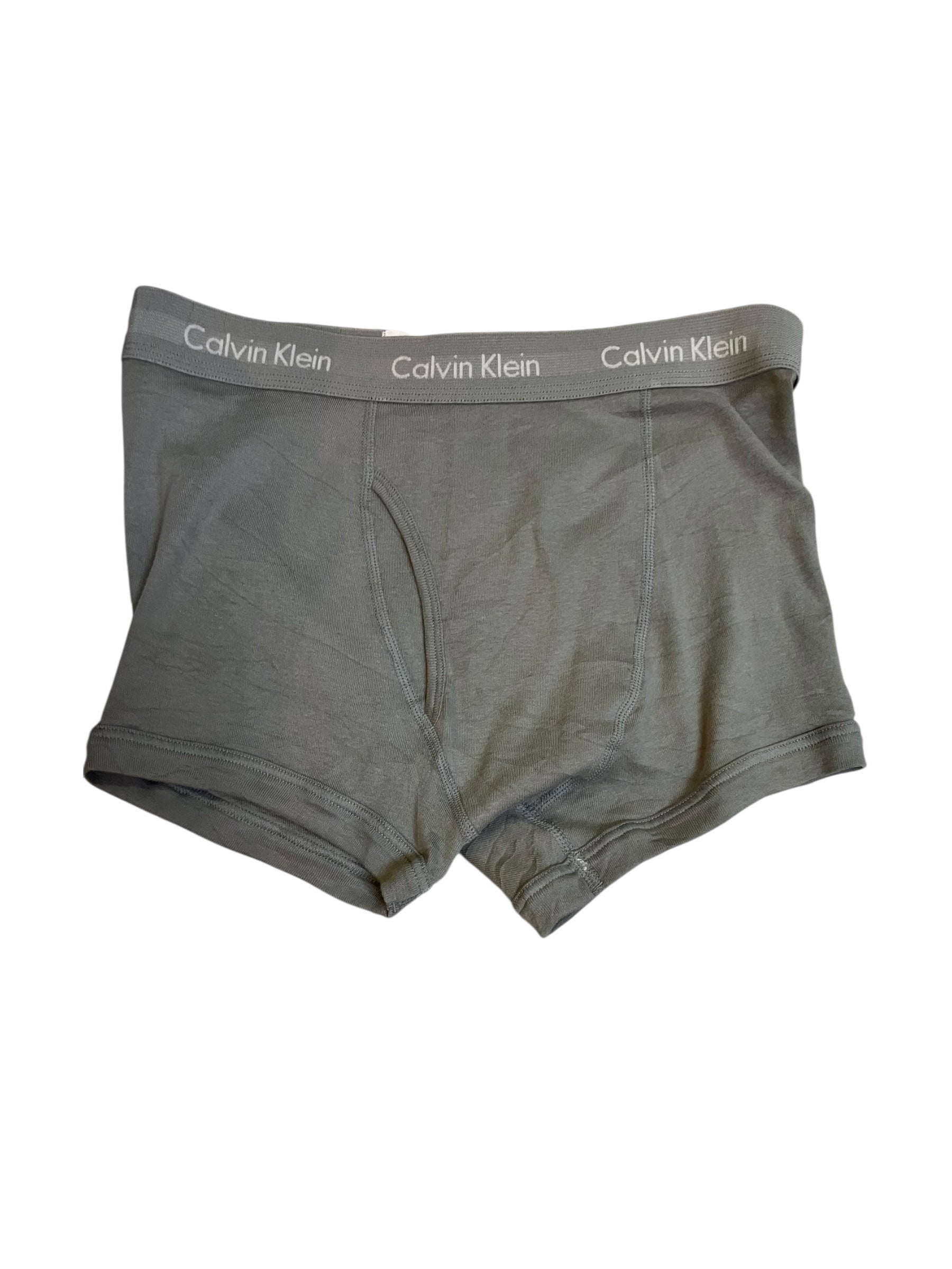 Boxer de Caballero