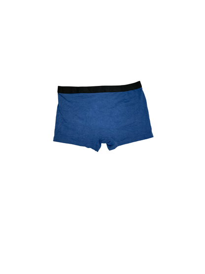 Boxer de Caballero