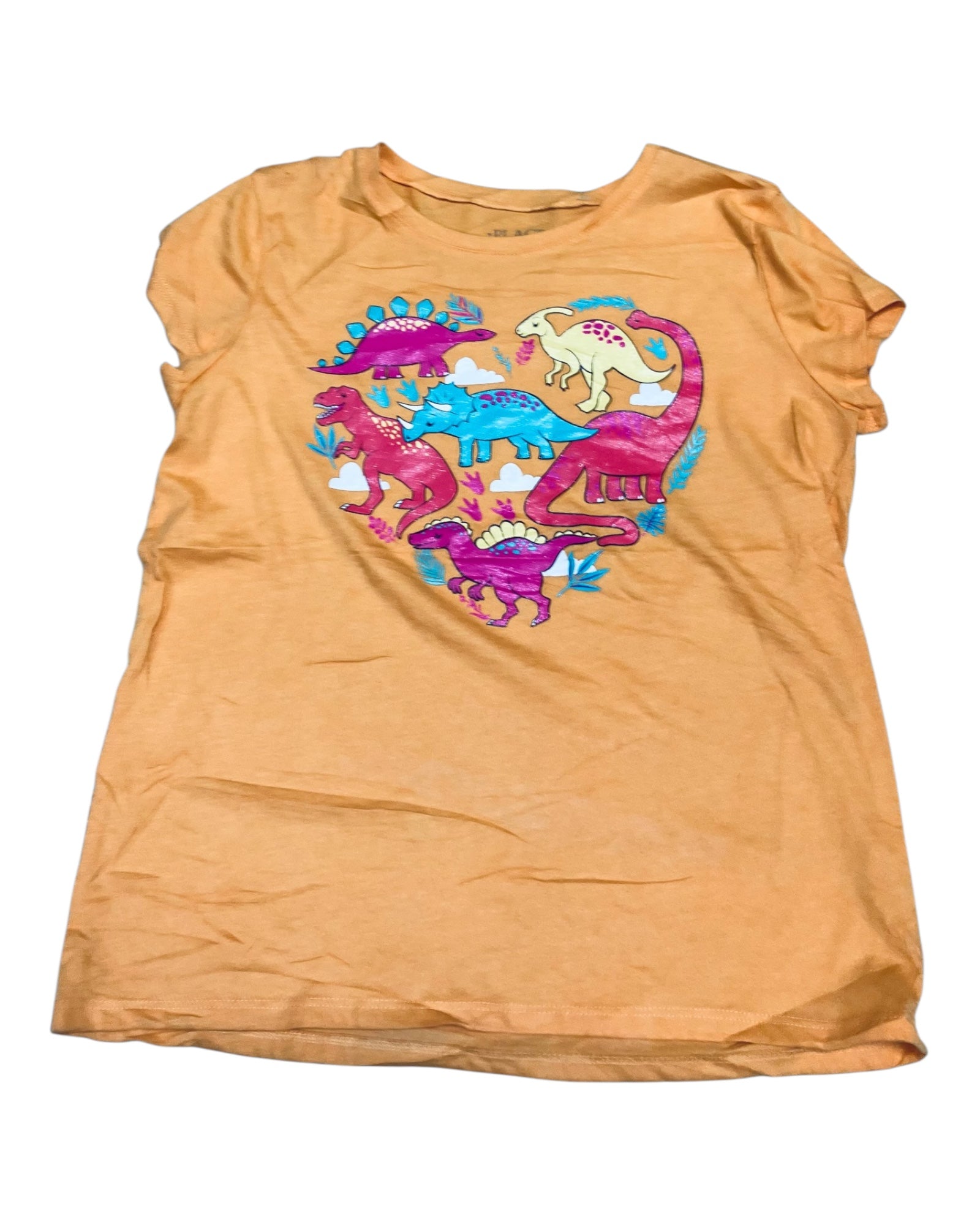 Camisa de Niña