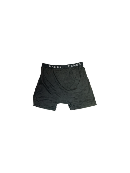 Boxer de Caballero