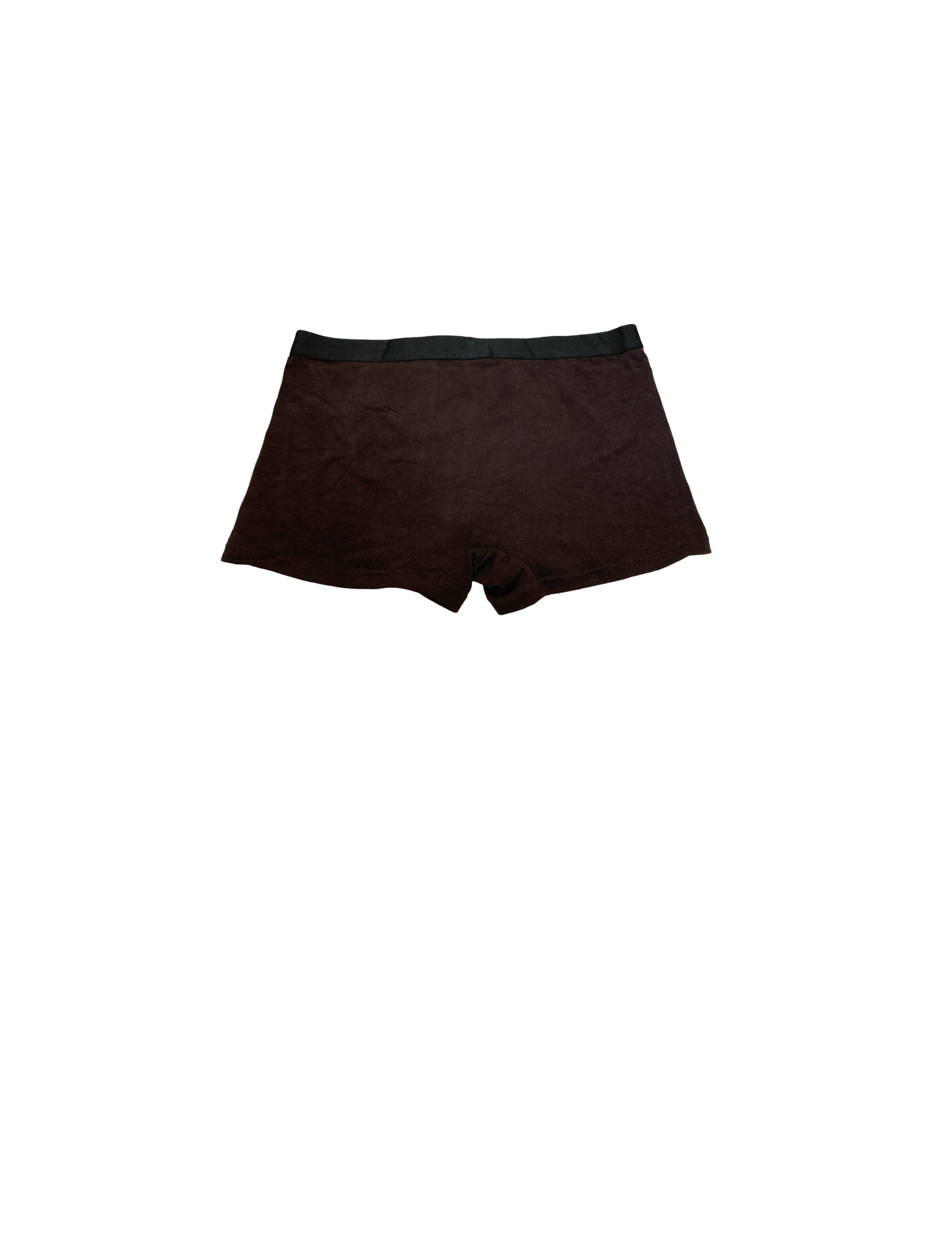 Boxer de Caballero
