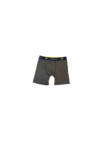 Boxer de Caballero