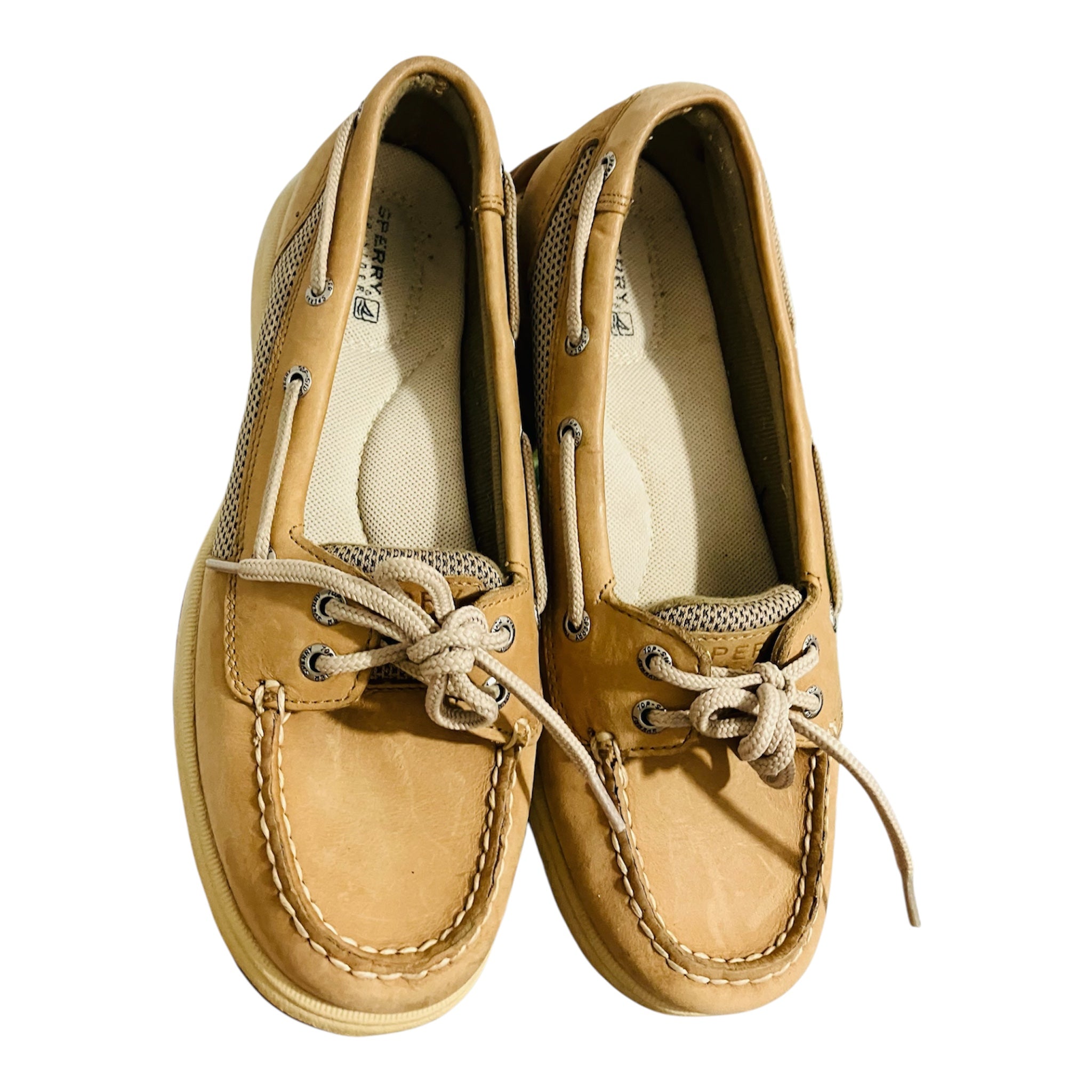 Zapato de Dama